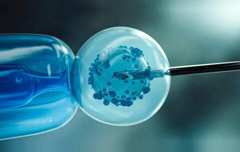 Científicos crean embriones humanos artificiales en el laboratorio. | todosolicitud